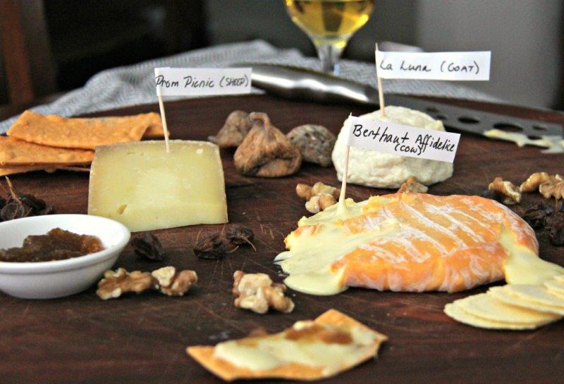 Quality Gourmet Cheese Platter for the Senses