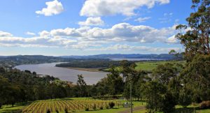 Wine Tasting in the Tamar Valley of Tasmania: A Day Well Spent www.compassandfork.com