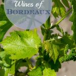 Beginner Guide to the Wines of Bordeaux